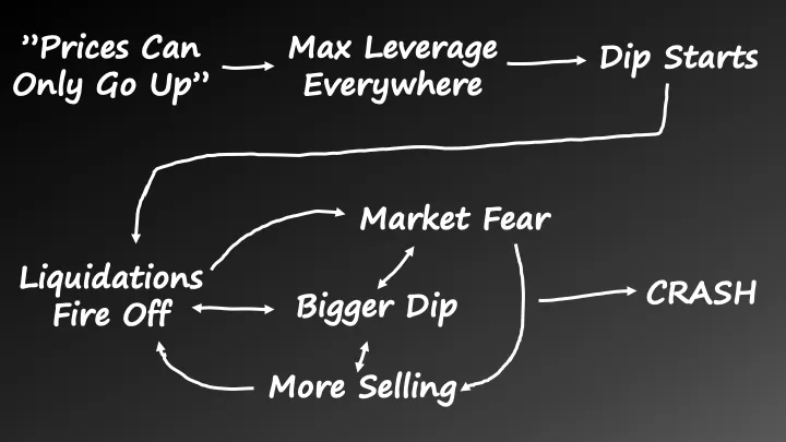 Diagram showing the feedback loop: Prices Can Only Go Up → Max Leverage Everywhere → Dip Starts → Liquidations Fire Off → Market Fear → Bigger Dip → More Selling → CRASH